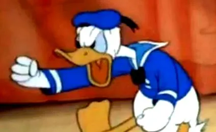 donald donald