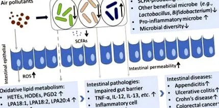 noastre bacteriilor