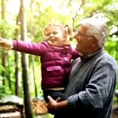 forest energization