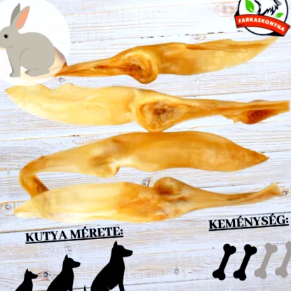 заешки заешки