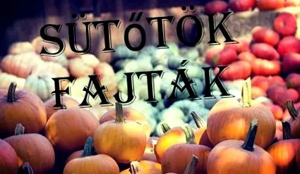 сортове голям барабан