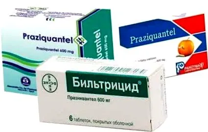 хелминтска хелминтска