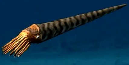 тест яйця