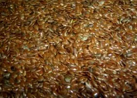 iarnă pericolele