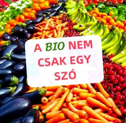 нека изясним