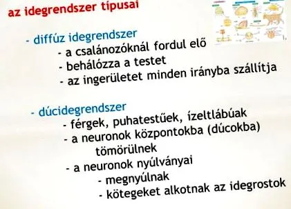 черния глисти