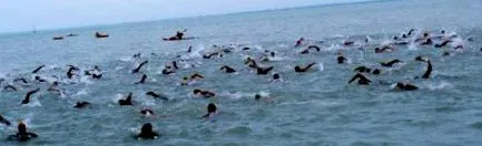 води води