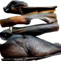 дивеч дивеч