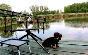 fishing whitewater