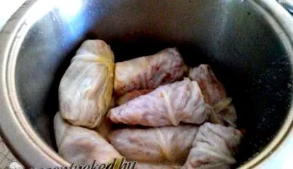 диетична ката