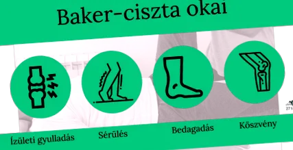 cunoștințe boli