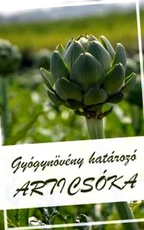 ревматоиден ревматоиден