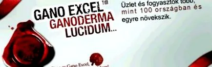 гледна точка excel