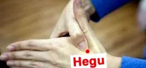 меридиан меридиан