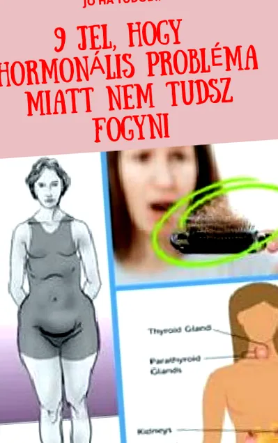 диетична поддържане