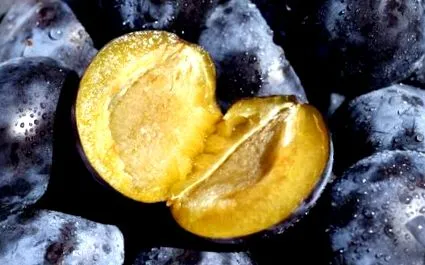 alimente golirea