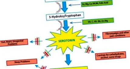 5-htp frum