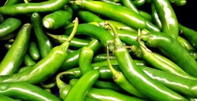 serrano
