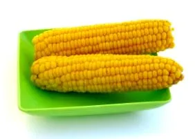 кукурудзи кукурудзи