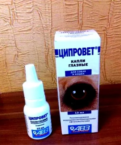 утилізує медицина