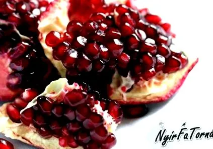 върху кожата върху кожата косата