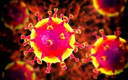 virus