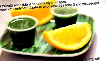 канцерогенни метличина