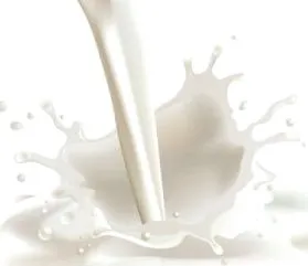 мляко яйчници
