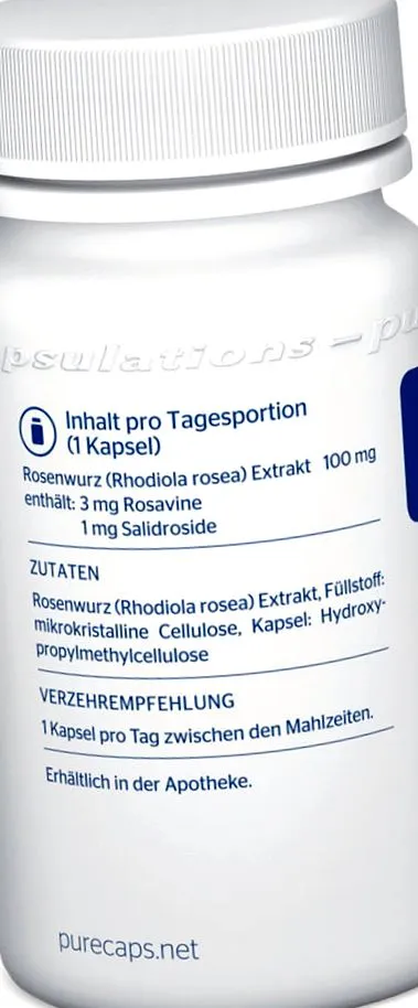 rhodiola rhodiola