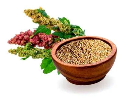 sănătate quinoa