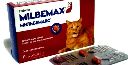 лекарство лечение
