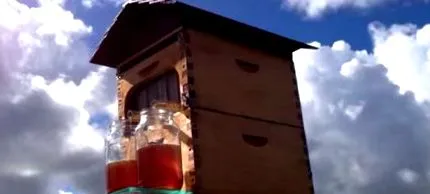 bine potrivi