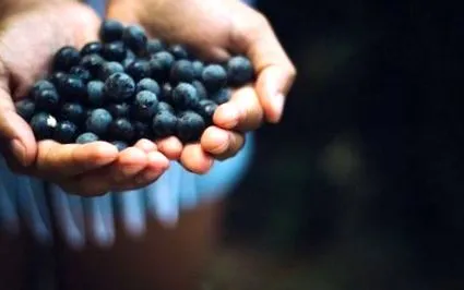 какво berry