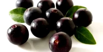 acai berry