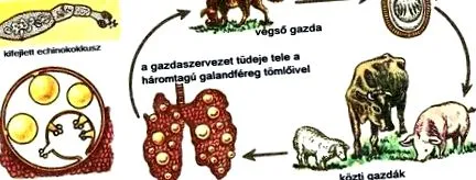 проверите къде