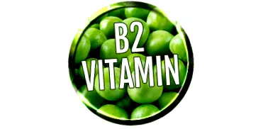 vitamina Vitamina riboflavină