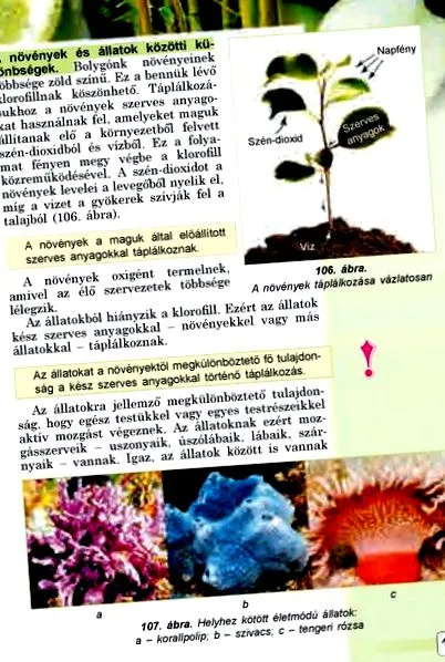 scapi viermi