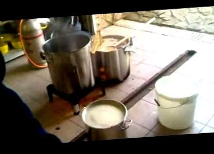растат дрожди