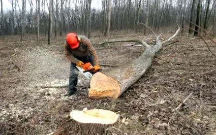 угорщина найбільшу