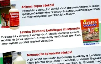 ярославъл