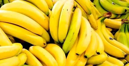 ingredientelor sinergia