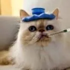 моето моето