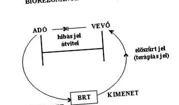 completă studiul