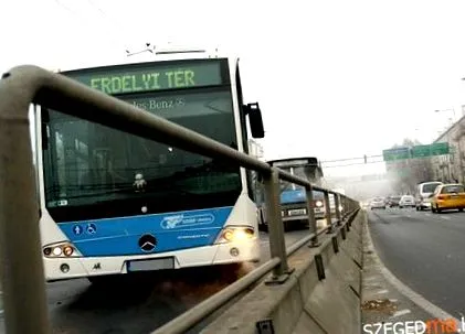 programului programului
