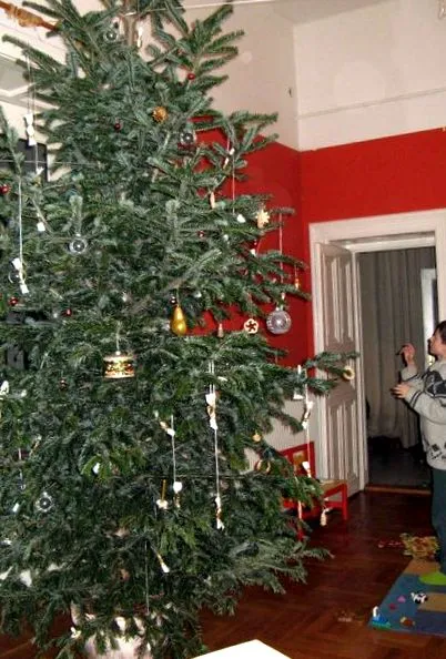 просто просто