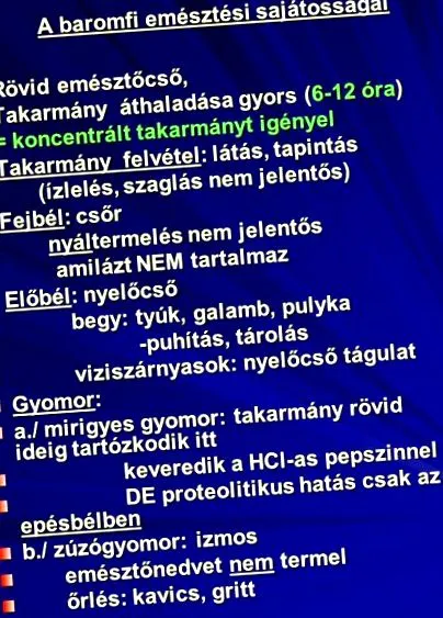 храносмилане зрение зрение