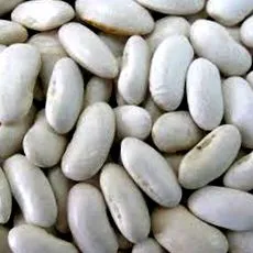квасолі