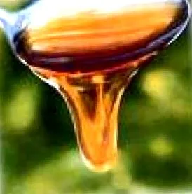 vechilor partea