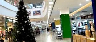 рушнична вовче