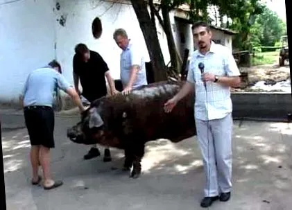 глисти мене